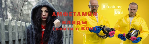 молекула духа Дмитров
