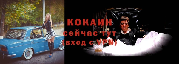 прущая мука Дмитриев