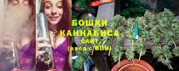 молекула духа Дмитров