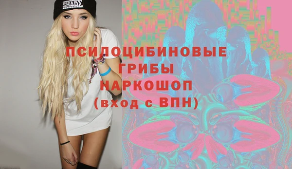 прущая мука Дмитриев