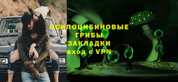 молекула духа Дмитров