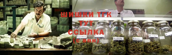 прущая мука Дмитриев