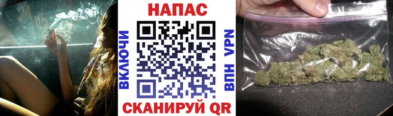 Купить где  Заводоуковск  Бошки Шишки White Widow 